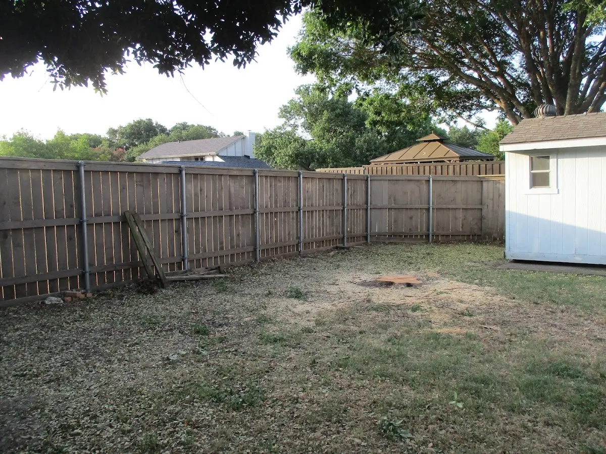 Cleared yard after professional tree removal in East Nassau