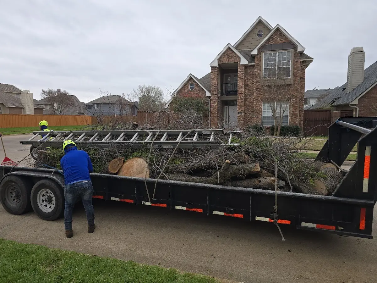 Expert Tree Fertilization with proper safety equipment in East Nassau